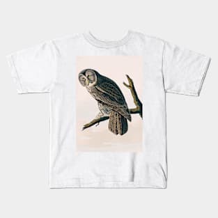 Bird of America  Bird, bird lover, america, beautiful  Public domain painting by John James Audubon Kids T-Shirt